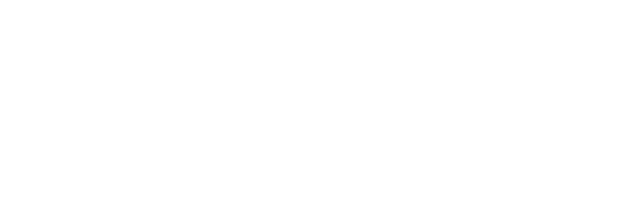 Delaware Chapter of the American Academy of Pediatrics